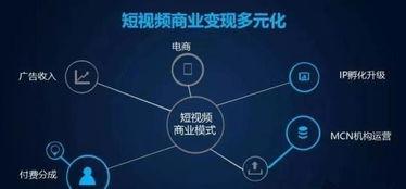 爆料视频收益钱在哪里,钱从何来？深度解析  第1张