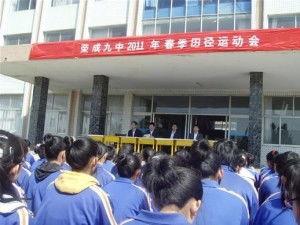 武汉第九中学爆料视频播放,揭秘校园幕后故事