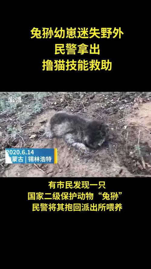 兔宝宝爆料新闻视频播放,揭秘新闻视频背后的精彩瞬间  第2张