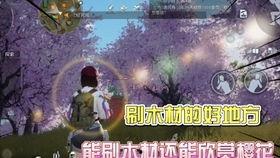 黎明觉醒皮肤最新爆料,揭秘全新皮肤“曙光破晓”的神秘魅力 第3张 黎明觉醒皮肤最新爆料,揭秘全新皮肤“曙光破晓”的神秘魅力 第3张