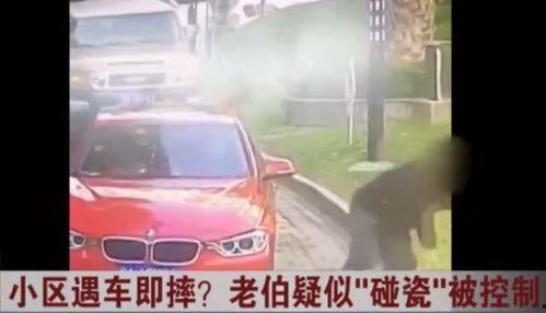 老伯碰瓷爆料视频播放大全,揭秘网络传播的惊人真相