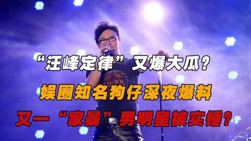 娱乐大爆料家暴小说,揭开家暴小说背后的惊人真相  第3张