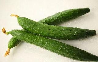 新瓜最新爆料90后网红,揭秘网红圈背后的秘密与真相” 第2张 新瓜最新爆料90后网红,揭秘网红圈背后的秘密与真相” 第2张