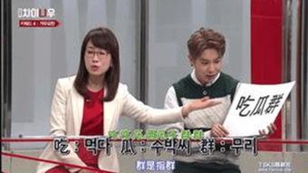韩国综艺在线观看,在线观看指南，解锁热门节目精彩瞬间