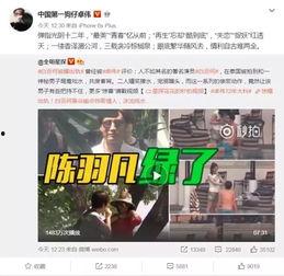 七日爆料陈皎月视频在线观看,陈皎月视频在线观看，揭秘幕后真相  第2张