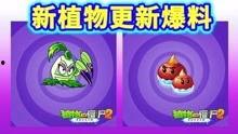 最新 植物爆料视频下载,最新爆料视频下载解析