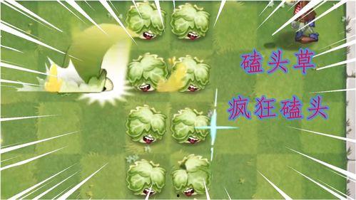 最新 植物爆料视频下载,最新爆料视频下载解析  第2张