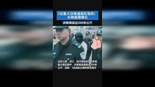 官方爆料缅北案件视频,官方视频揭露惊人内幕  第2张