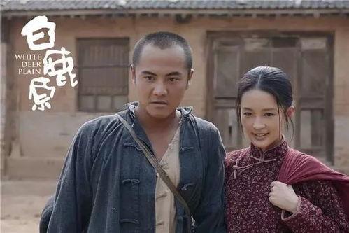 电视剧白鹿原 在线观看,穿越历史的长河，探寻家族命运之谜  第2张