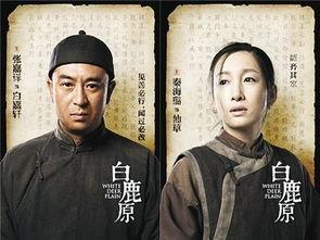 电视剧白鹿原 在线观看,穿越历史的长河，探寻家族命运之谜  第3张