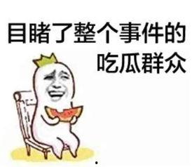吃瓜读心小说套路免费阅读,跟随主角解锁神秘心理世界  第3张