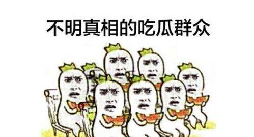 婆婆是吃瓜群众免费阅读,免费阅读背后的故事