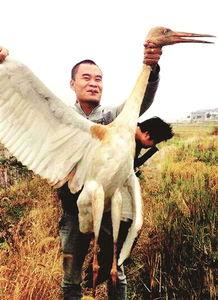 鸡鸣白鹤最新爆料,娱乐圈最新爆料大起底  第2张