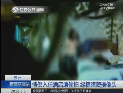 情侣免费视频在线观看,情侣专属视频盛宴