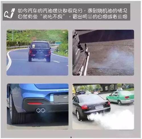 烧机油车主爆料视频真实,烧机油现象揭秘，真实案例引发关注