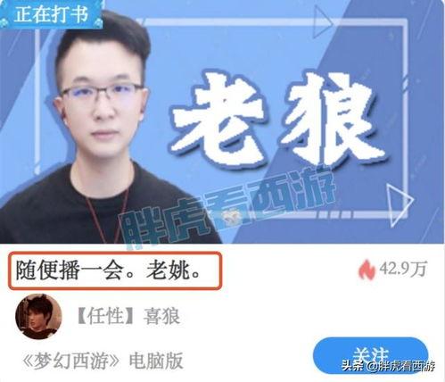 深圳文哥最新爆料,最新爆料背后的惊人真相  第2张