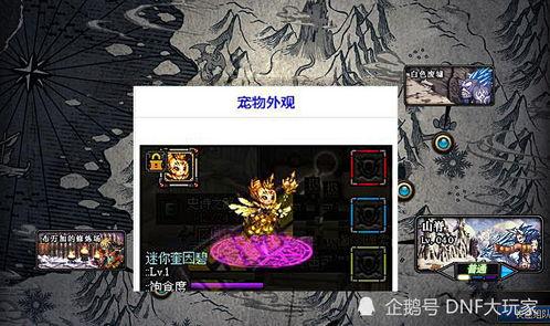 地下城最新宠物爆料,神秘新宠曝光，探索未知冒险之旅